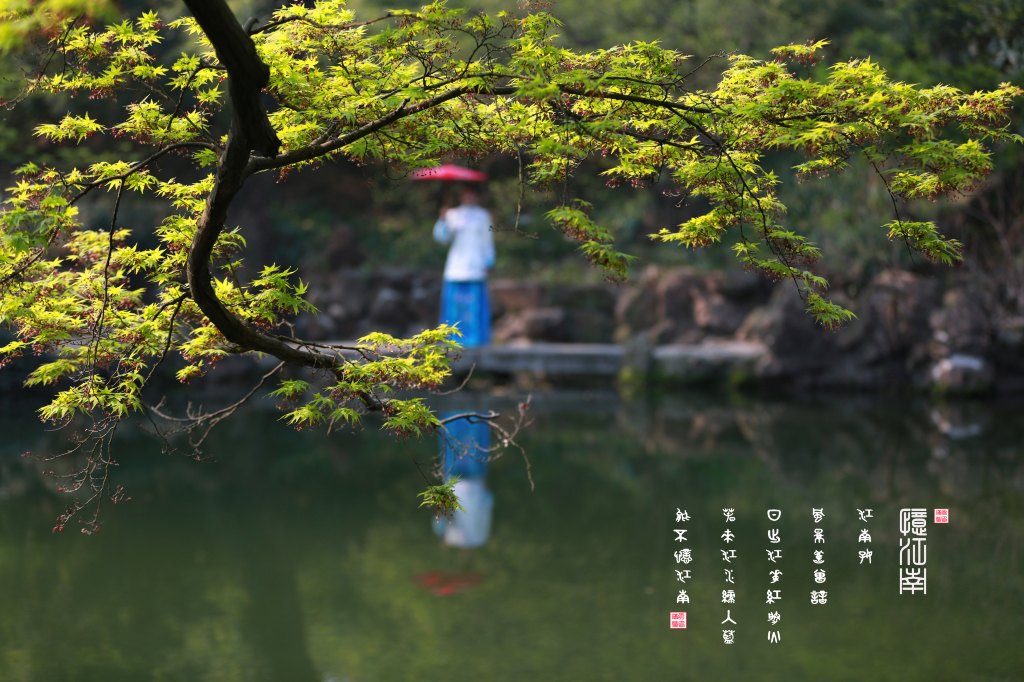 阳春三月