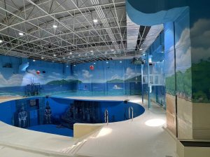 立镁家墙体彩绘，让建筑焕发永恒生