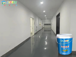 立镁家无机涂料：以绿色科技革新，