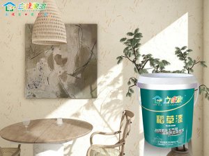 立镁家生态艺术稻草漆，藏在墙面上